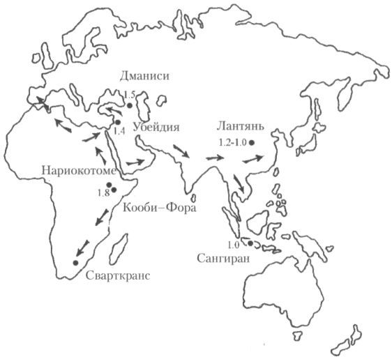 Человек в лабиринте эволюции - pic_19.jpg