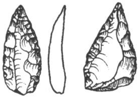 Человек в лабиринте эволюции - pic_31.jpg