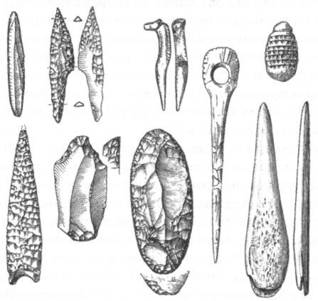 Человек в лабиринте эволюции - pic_35.jpg
