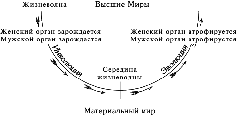 Космоконцепция розенкрейцеров или мистическое христианство - img_21.png