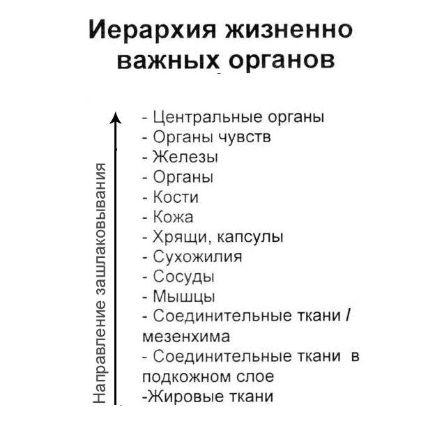 Щелочная система оздоровления (СИ) - img_7.png