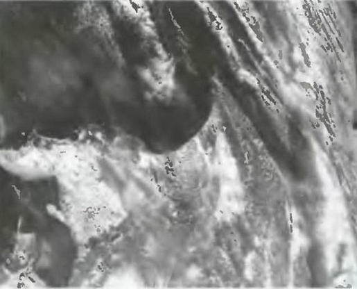 Знание-сила, 2003 №12 (918) - img_38.jpg