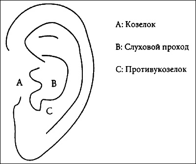 Психосоматическая Йога. Практическое Руководство Йога - i_012.png