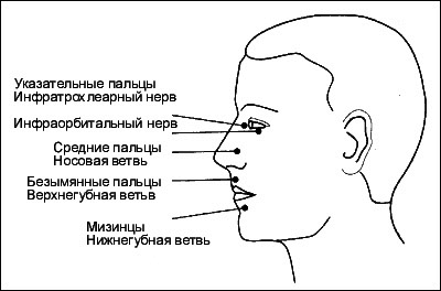 Психосоматическая Йога. Практическое Руководство Йога - i_013.png