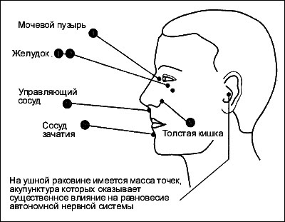 Психосоматическая Йога. Практическое Руководство Йога - i_014.png