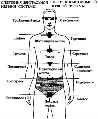 Психосоматическая Йога. Практическое Руководство Йога - i_026.png