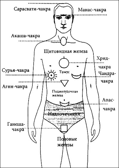 Психосоматическая Йога. Практическое Руководство Йога - i_027.png