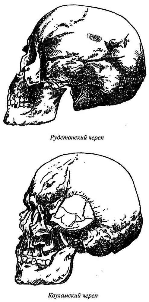 Славяне и арийский мир - i_004.jpg