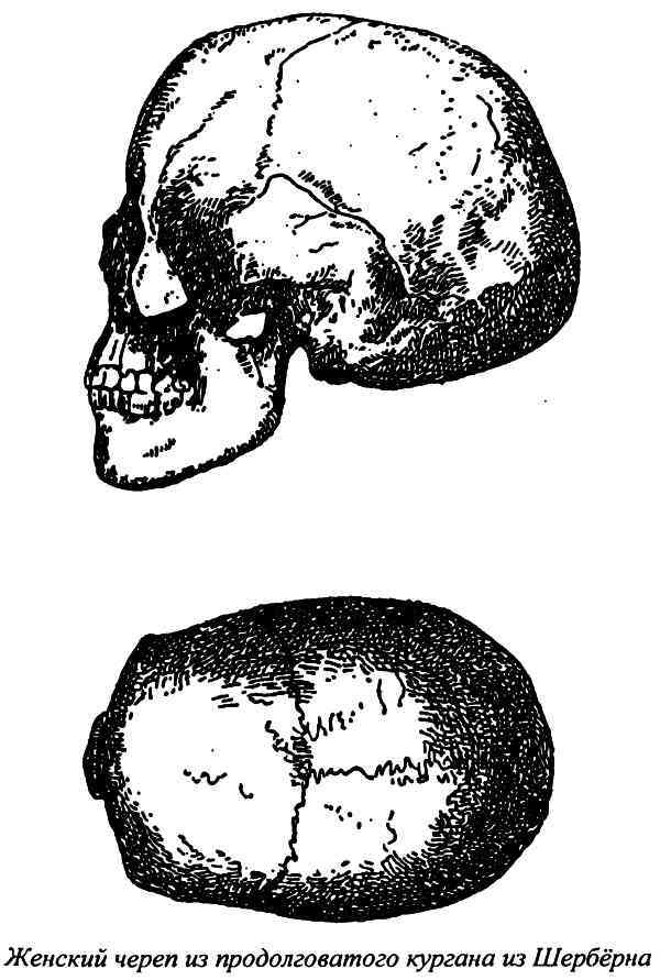 Славяне и арийский мир - i_005.jpg