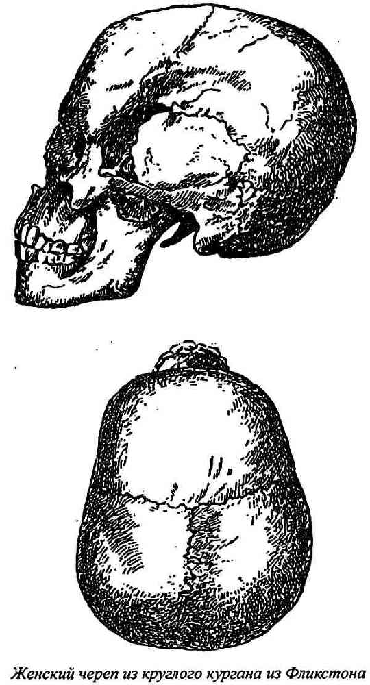 Славяне и арийский мир - i_006.jpg