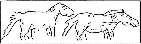 Славяне и арийский мир - i_022.jpg