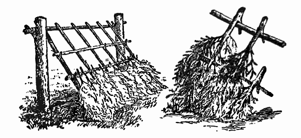 Справочник путешественника и краеведа - img_17.png