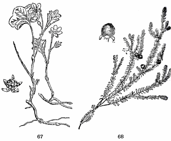 Справочник путешественника и краеведа - img_29.png