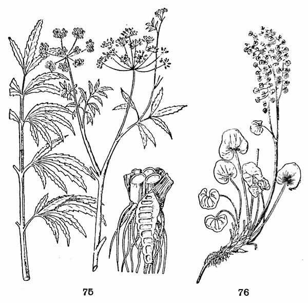 Справочник путешественника и краеведа - img_33.png