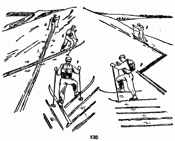 Справочник путешественника и краеведа - img_59.png