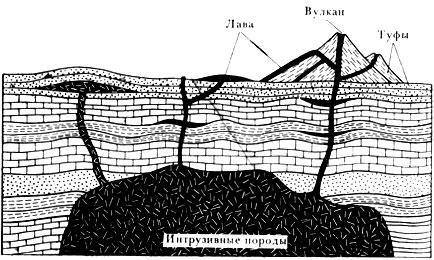 Тайны образования нефти и горючих газов - img_23.jpeg