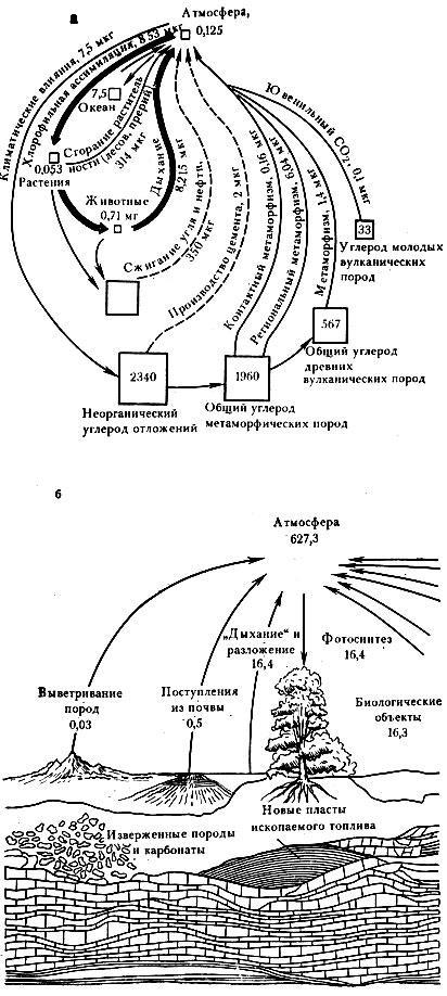 Тайны образования нефти и горючих газов - img_46.jpeg