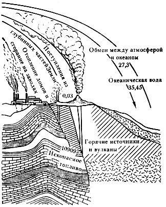 Тайны образования нефти и горючих газов - img_47.jpeg