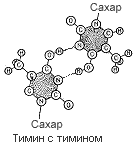 Двойная спираль - _126d.png