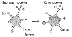 Двойная спираль - _128a.png