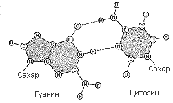 Двойная спираль - _132b.png