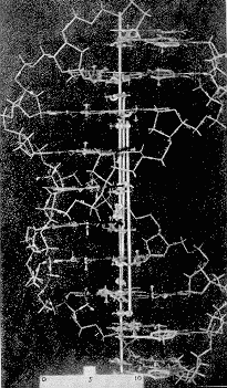 Двойная спираль - _138.png