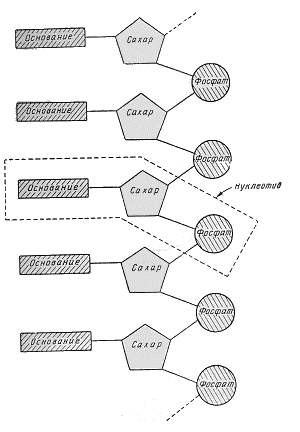 Двойная спираль - _45.png