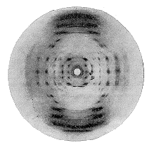Двойная спираль - _56.png