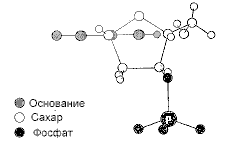 Двойная спираль - _66.png