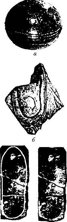 Тайна многоруких богов - i_003.png