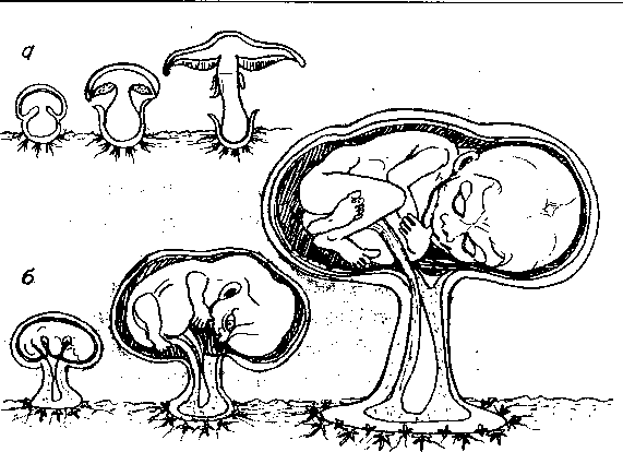 Тайна многоруких богов - i_007.png