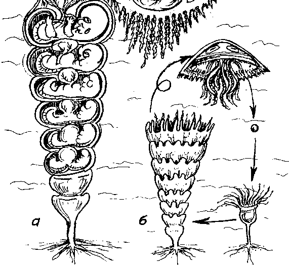 Тайна многоруких богов - i_009.png