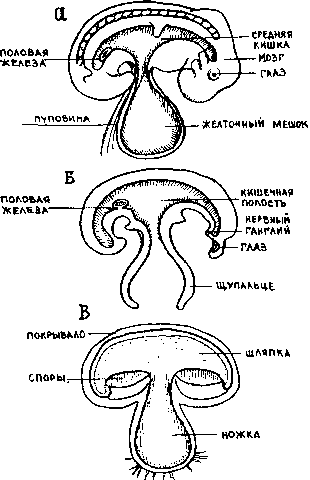 Тайна многоруких богов - i_010.png