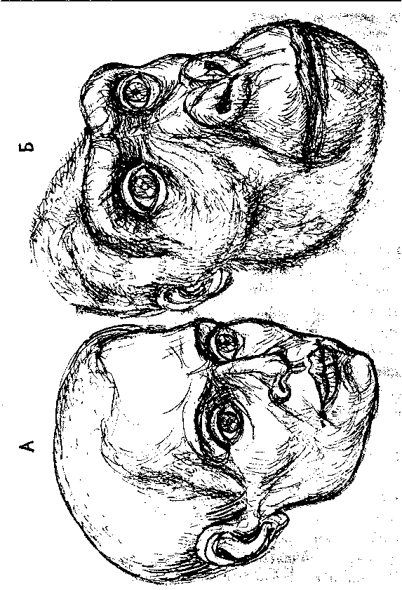 Тайна многоруких богов - i_032.png