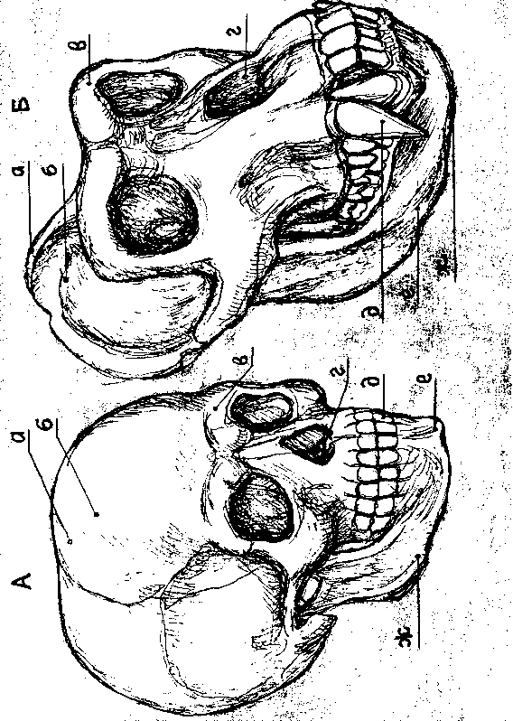 Тайна многоруких богов - i_033.png
