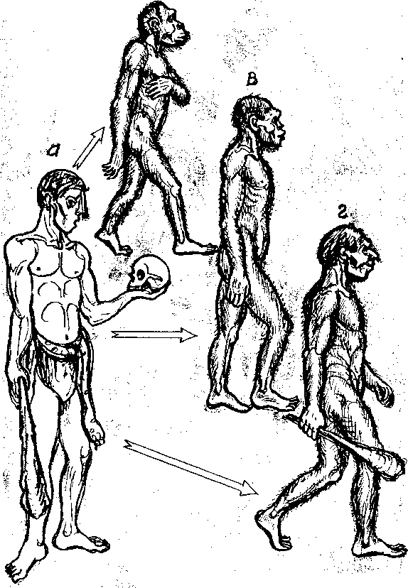 Тайна многоруких богов - i_034.png