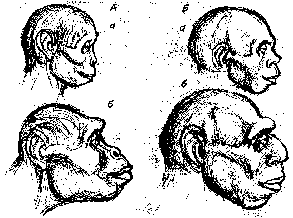 Тайна многоруких богов - i_035.png