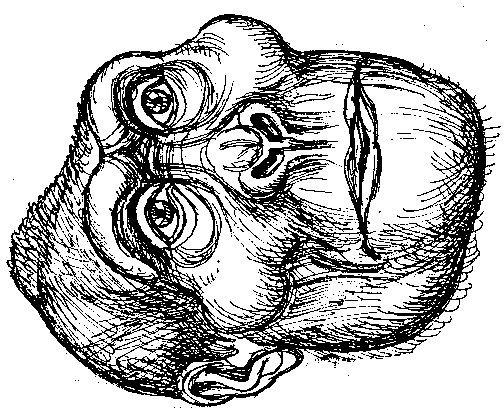 Тайна многоруких богов - i_036.png