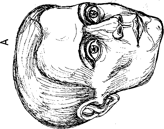 Тайна многоруких богов - i_037.png