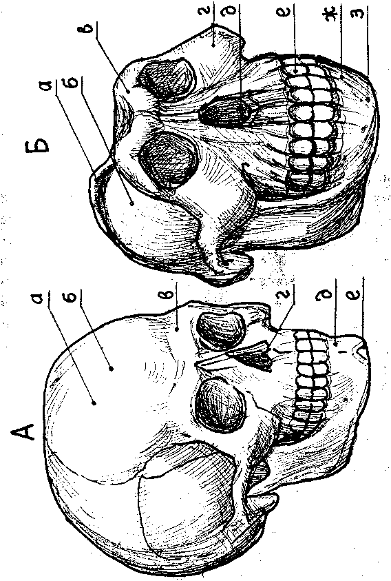 Тайна многоруких богов - i_038.png