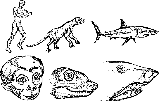 Тайна многоруких богов - i_043.png