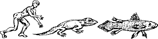 Тайна многоруких богов - i_044.png