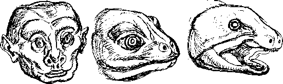 Тайна многоруких богов - i_045.png