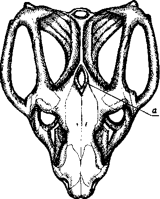 Тайна многоруких богов - i_053.png