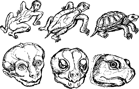 Тайна многоруких богов - i_054.png