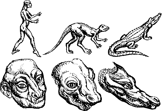 Тайна многоруких богов - i_056.png