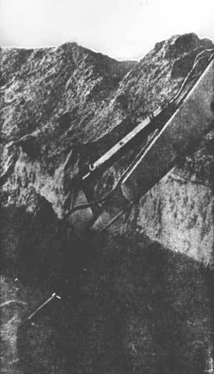 Растения - гениальные инженеры природы - i_069.jpg