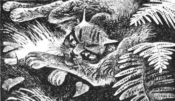 Тайна Щербатой. Наказание - pic_46.jpg