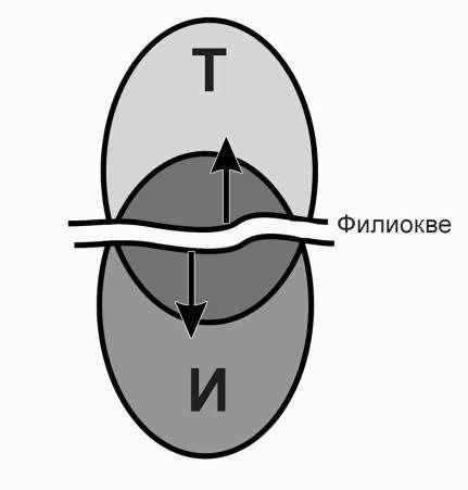 Содержательное единство 1994-2000 - pic_12.jpg