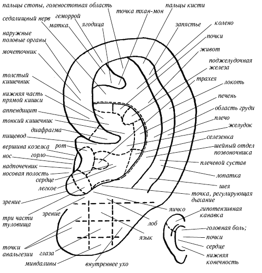 Энергетическая клизма, или Триумф тети Нюры из Простодырово - i_004.png